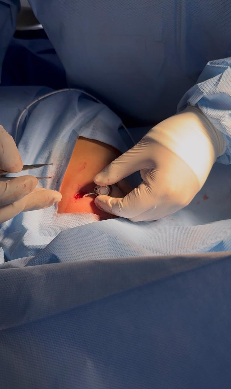 Odoo • Texto e imagen