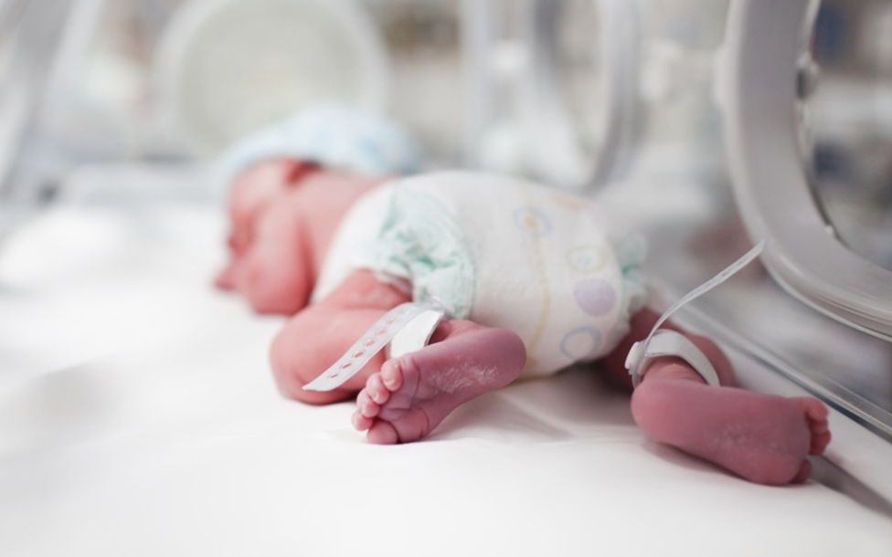 Jornadas  de Capacitación Especializada en Acceso Vascular Neonatal 2026