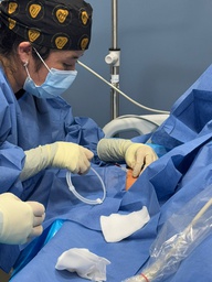 [85131700] INSCRIPCION DIPLOMADO 4a GENERACIÓN "COMPETENCIAS AVANZADAS EN ACCESOS VASCULARES Y TERAPIA DE INFUSION "