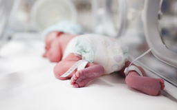[85131700] Jornadas  de Capacitación Especializada en Acceso Vascular Neonatal 2026